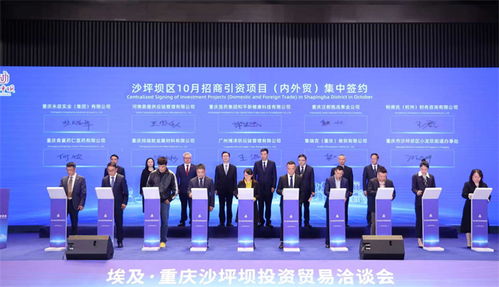 重慶沙坪壩投資貿(mào)易洽談會成功舉行，簽約6個對非經(jīng)貿(mào)合作項目助力信息咨詢服務升級